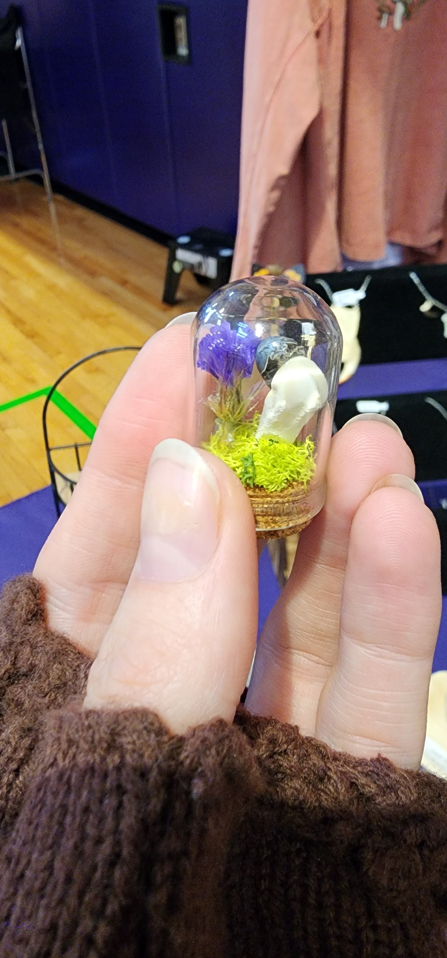 Isopod Mini Oddity Jar