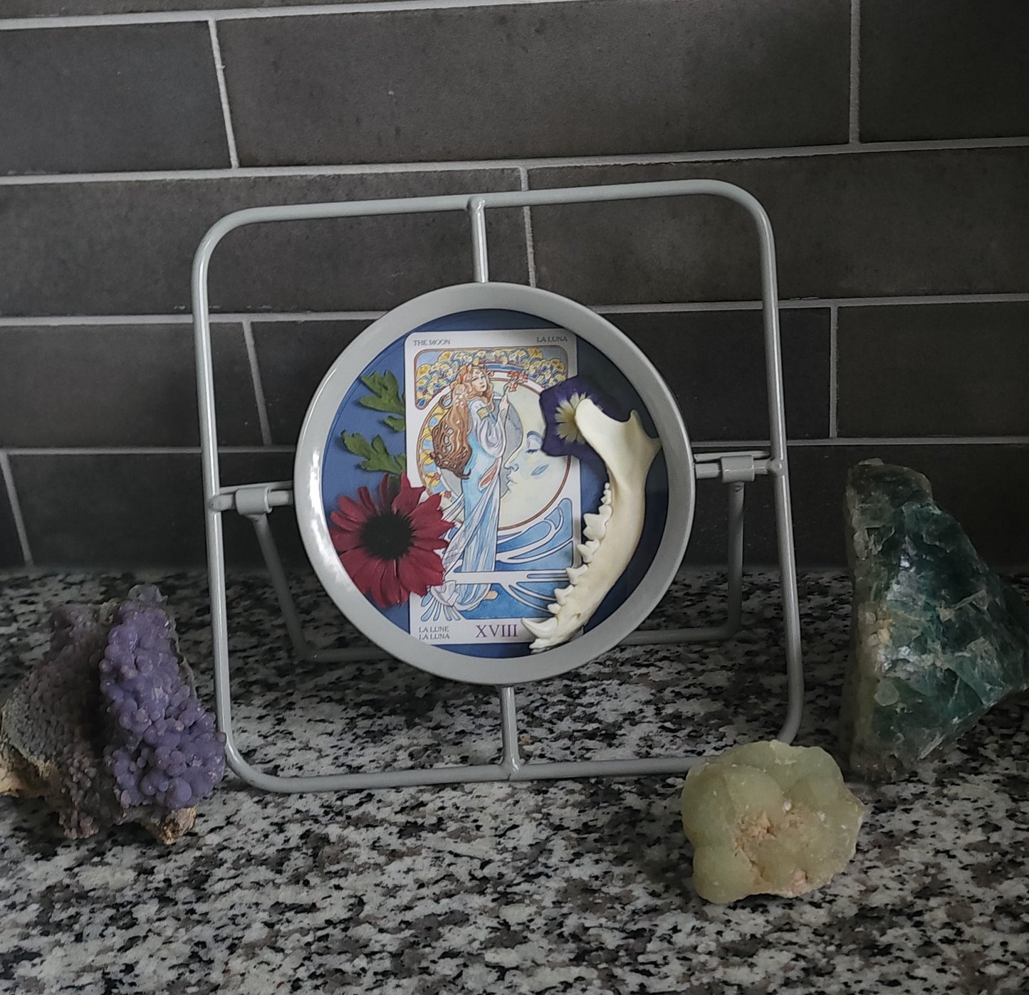 "The Moon" Dog Jaw Oddity Decor