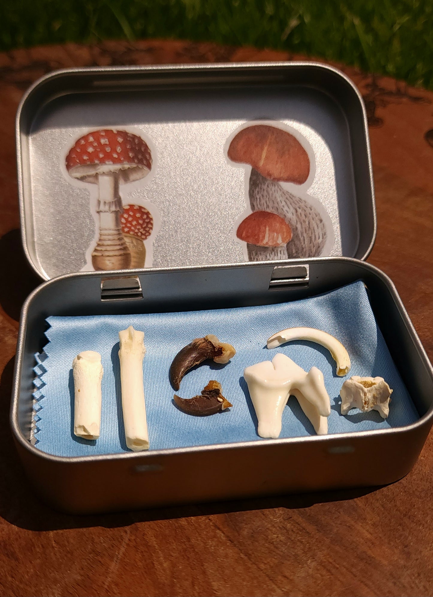 Osteomancy Kits