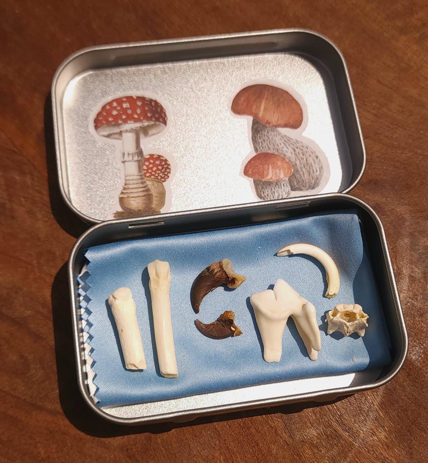 Osteomancy Kits