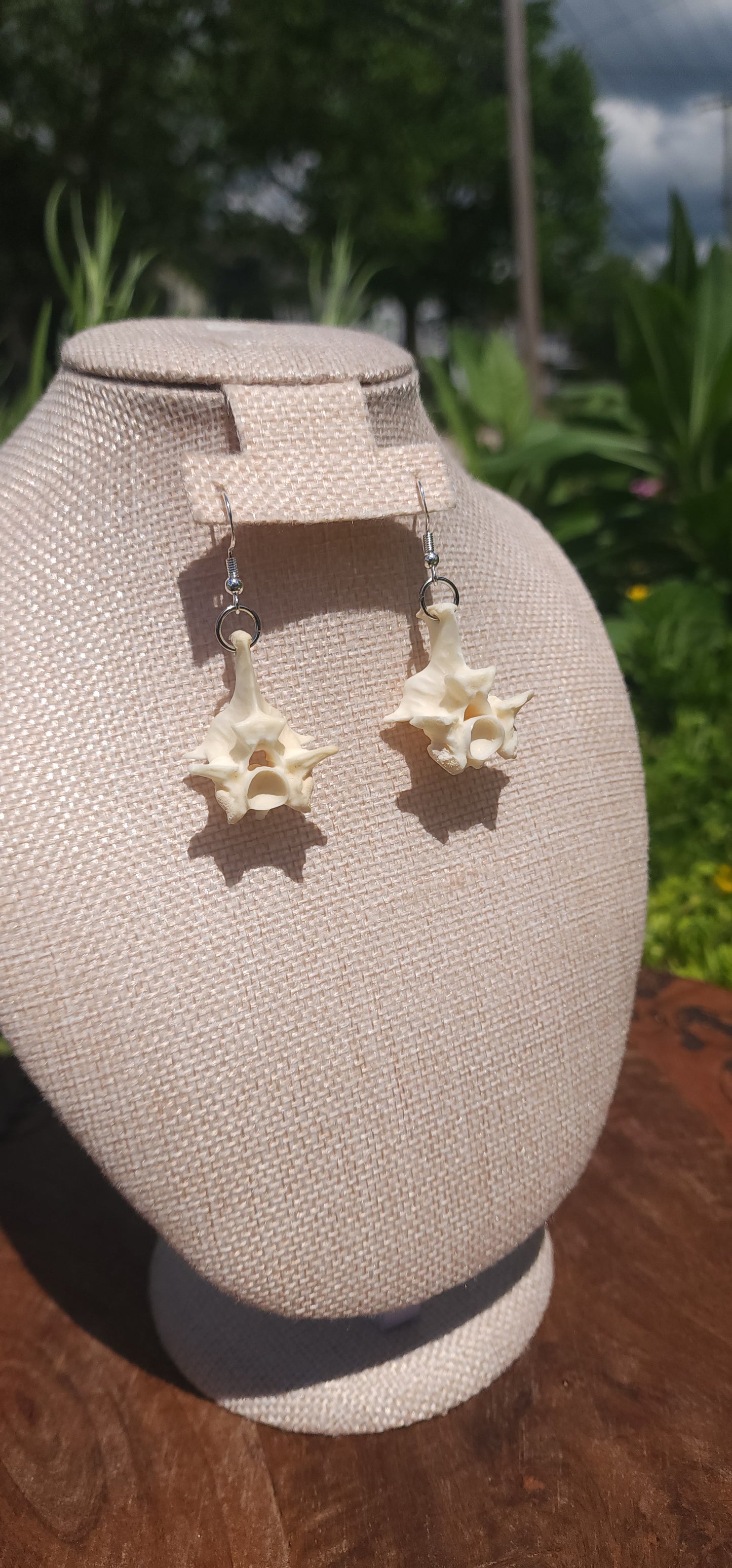 Blood Python Vertebrae Earrings