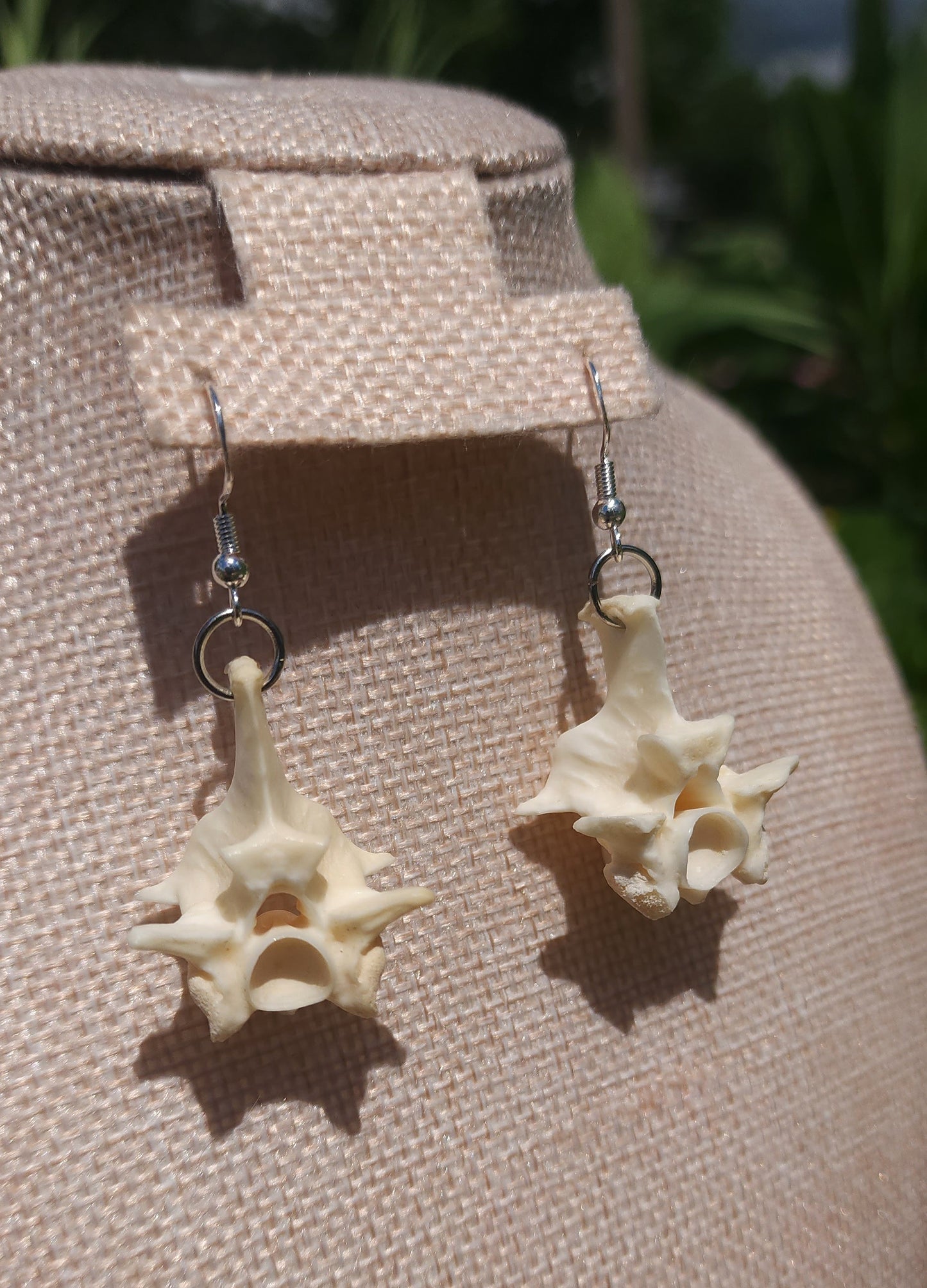Blood Python Vertebrae Earrings