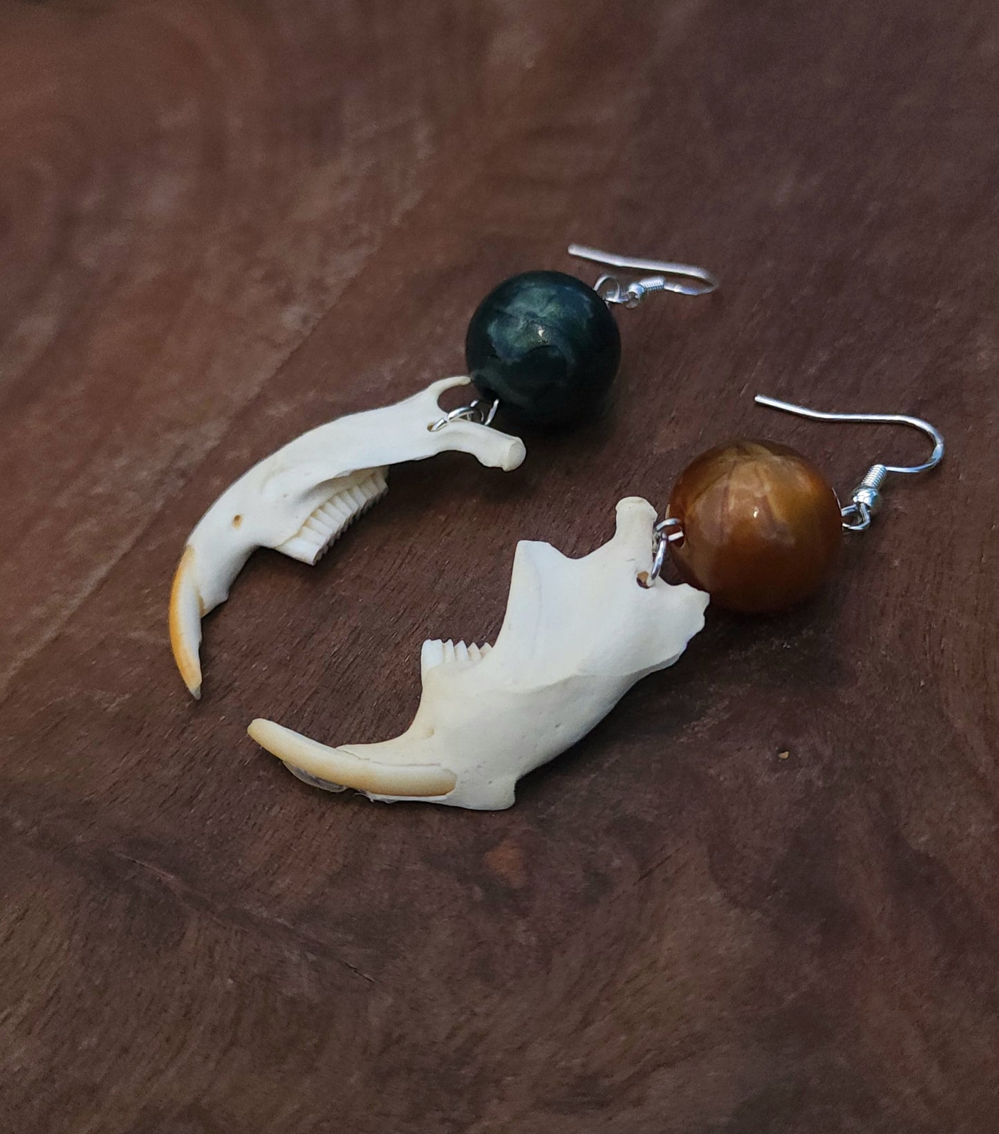 "Night and Day" Muskrat Jaw Earrings