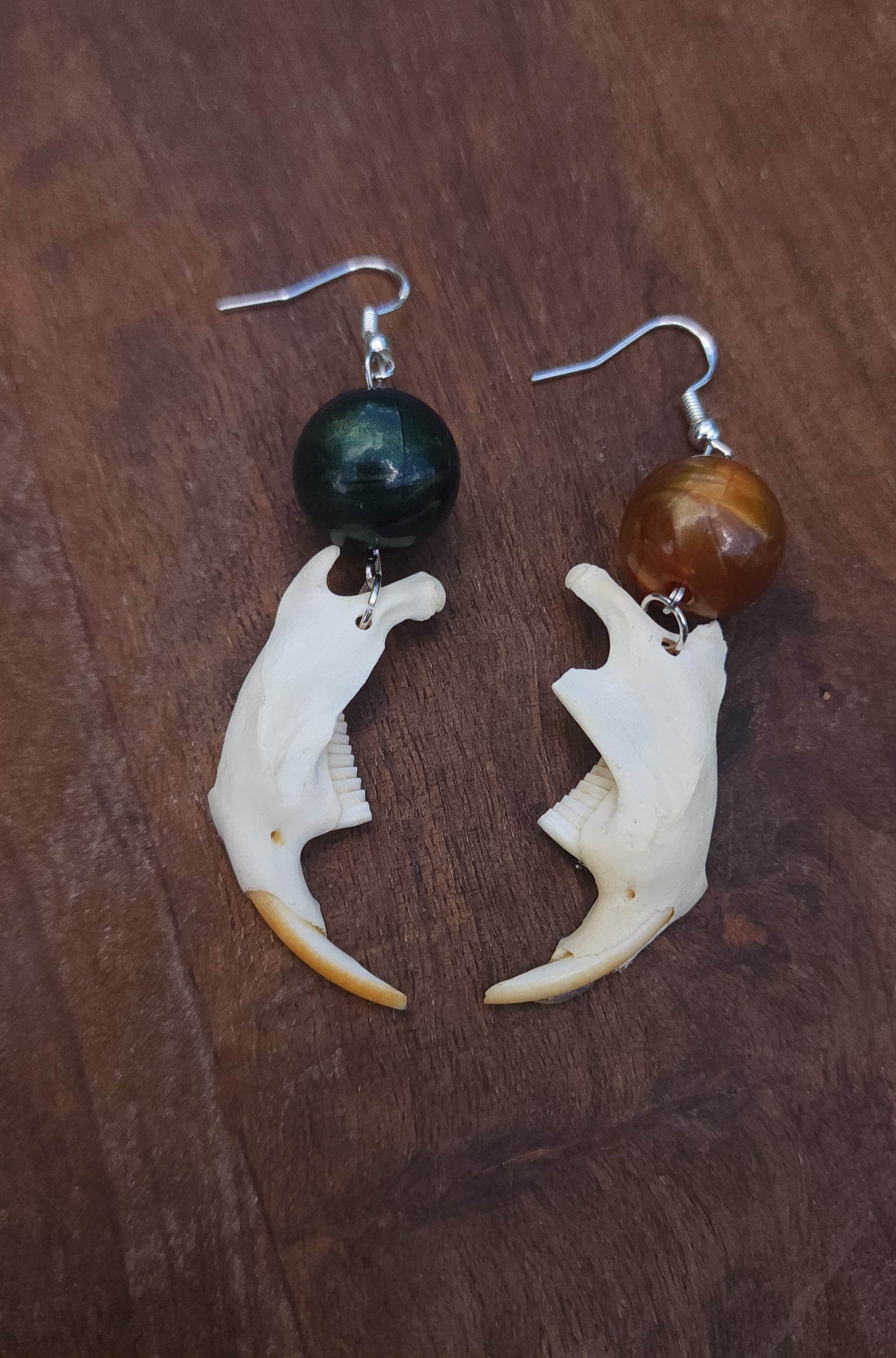 "Night and Day" Muskrat Jaw Earrings