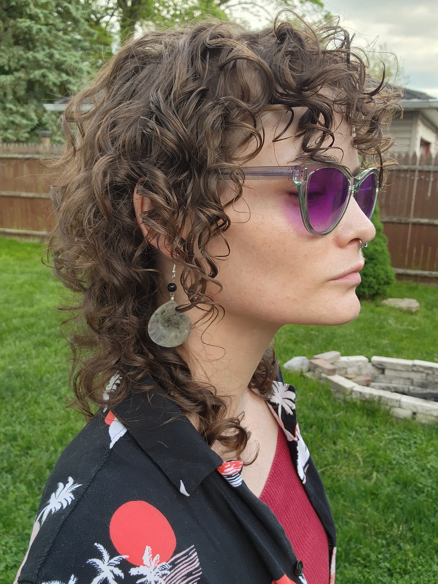 Upcycled Labradorite and Blue Tiger's Eye Earrings