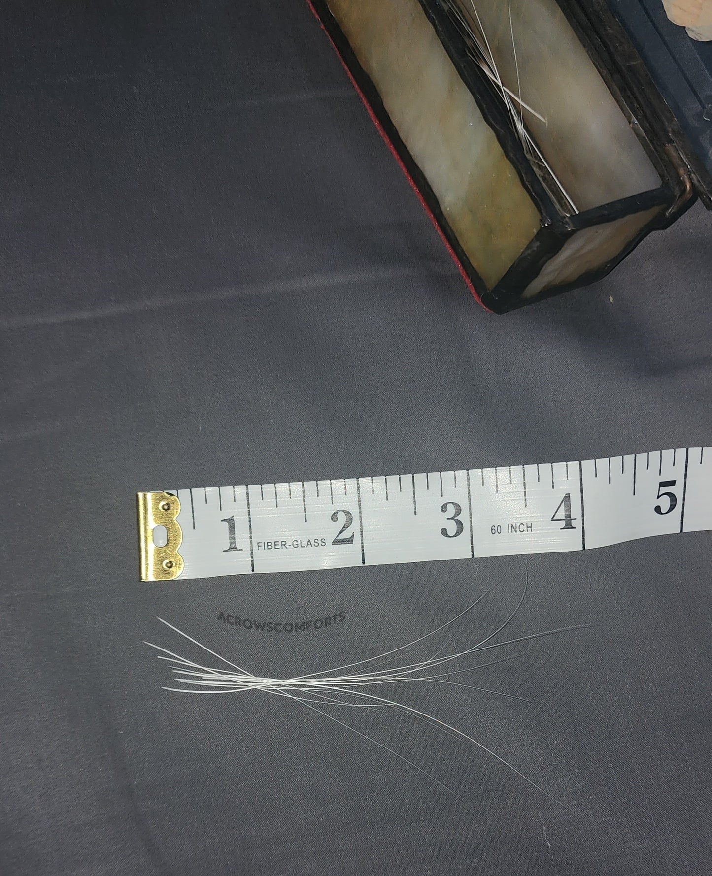 Cat Whiskers