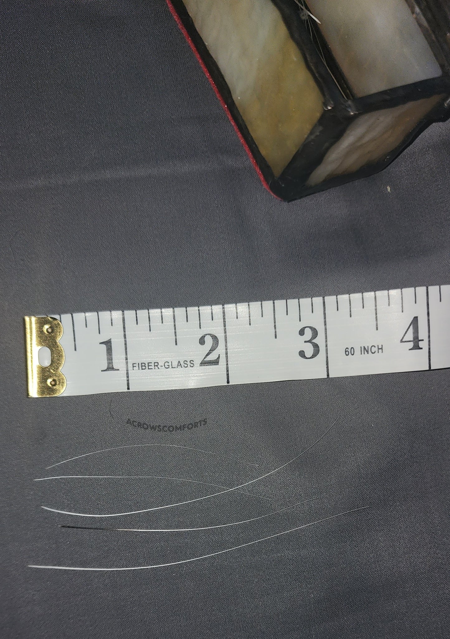 Cat Whiskers