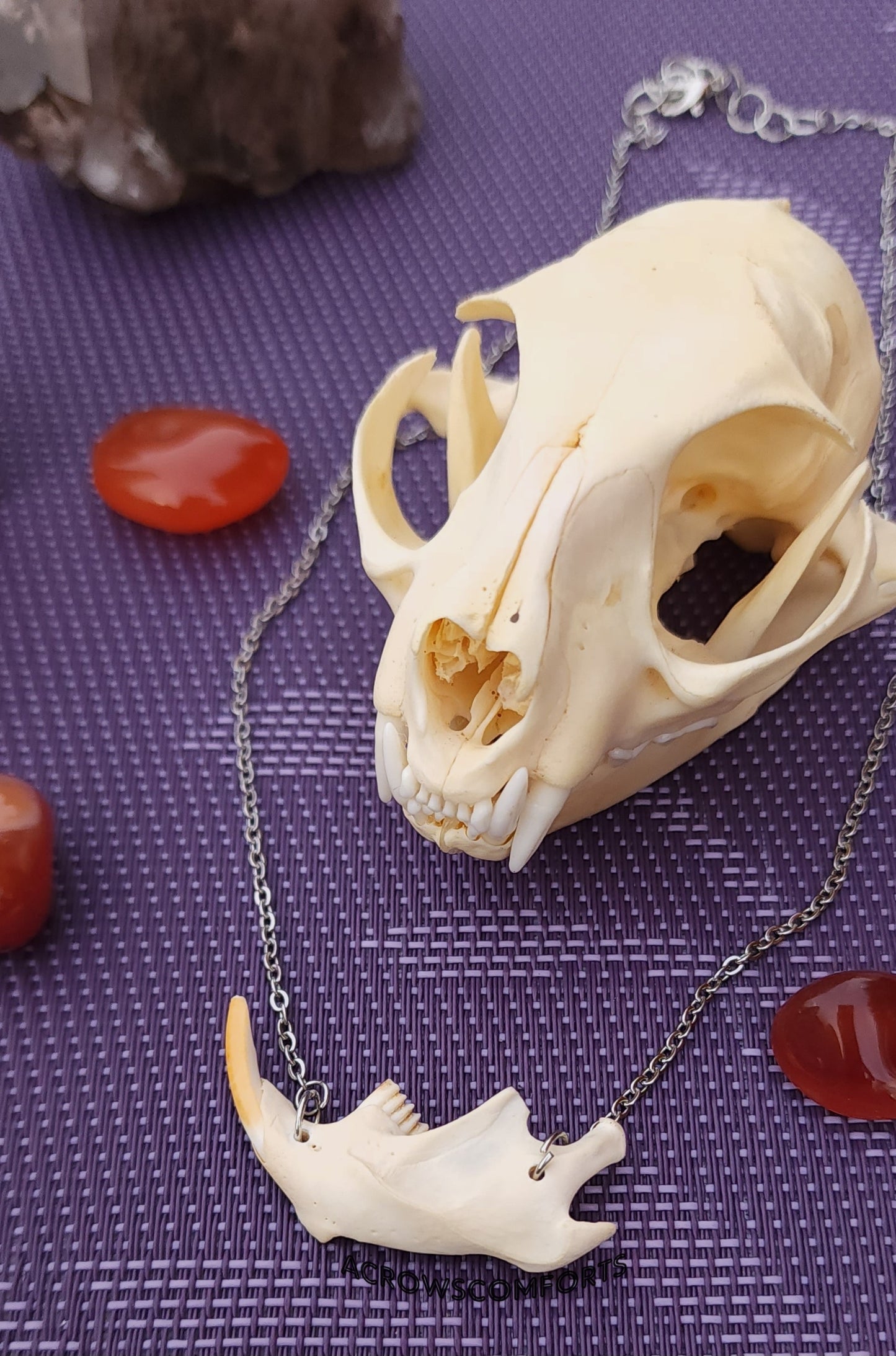 Muskrat Jaw Necklace