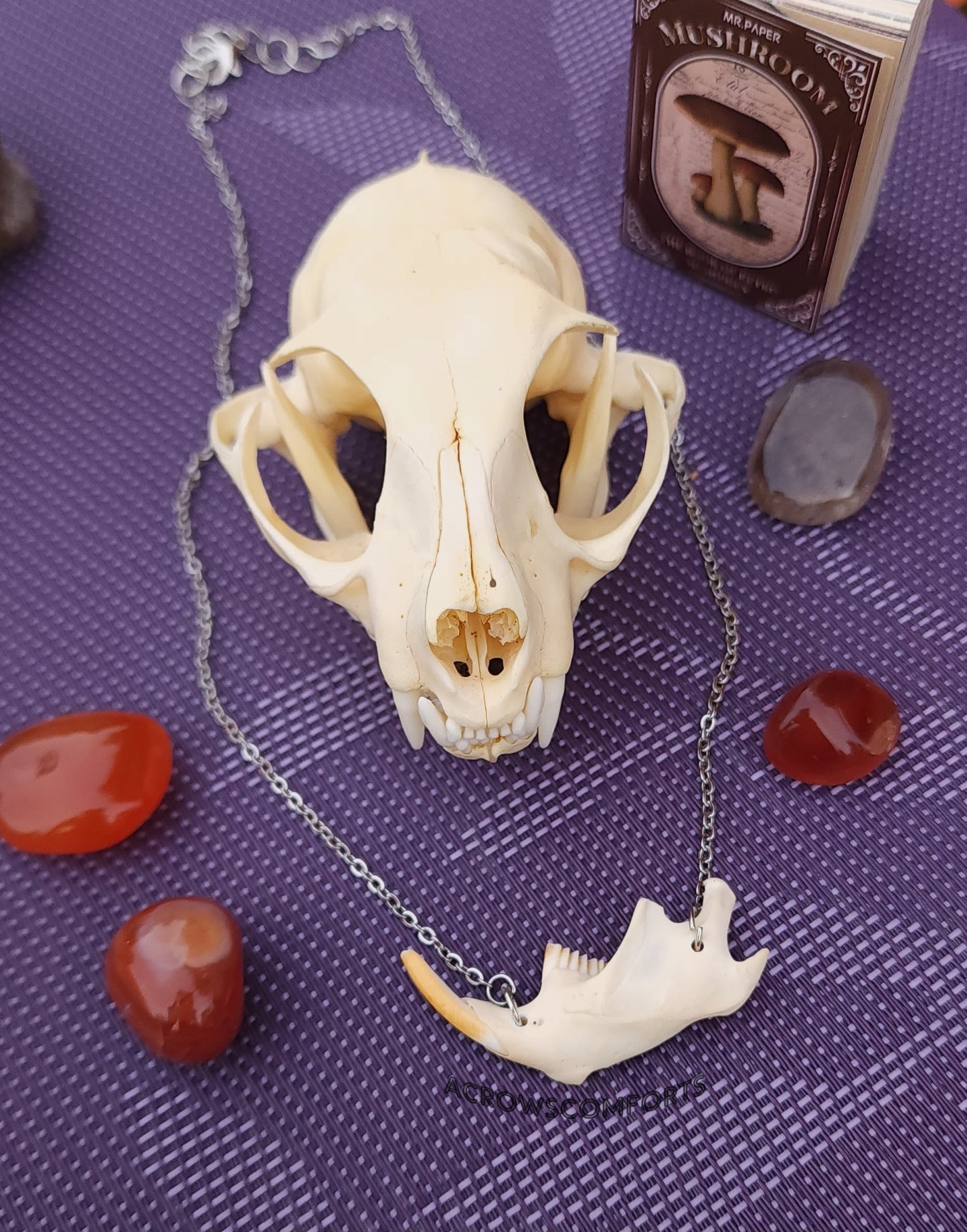 Muskrat Jaw Necklace