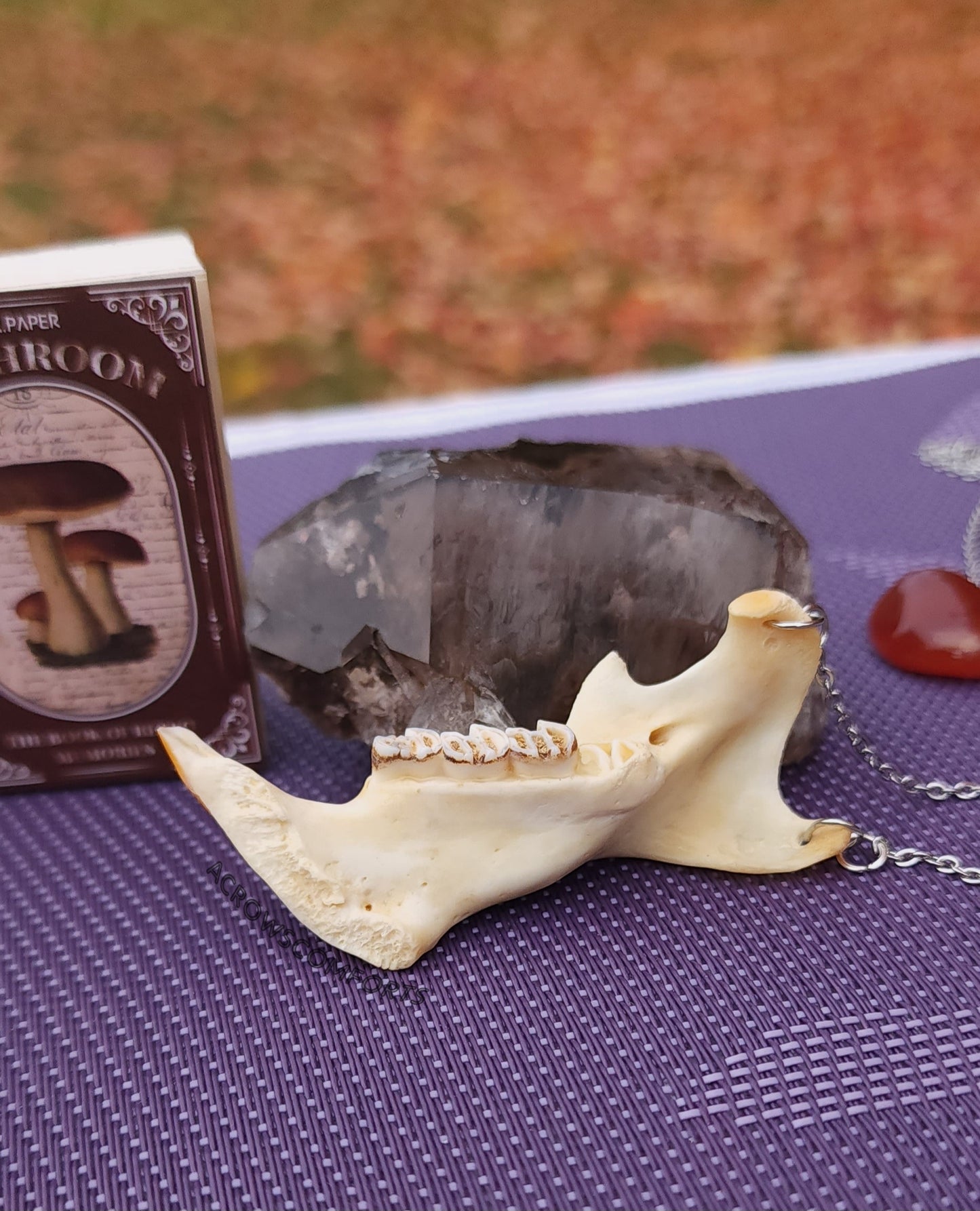 Porcupine Jaw Necklace