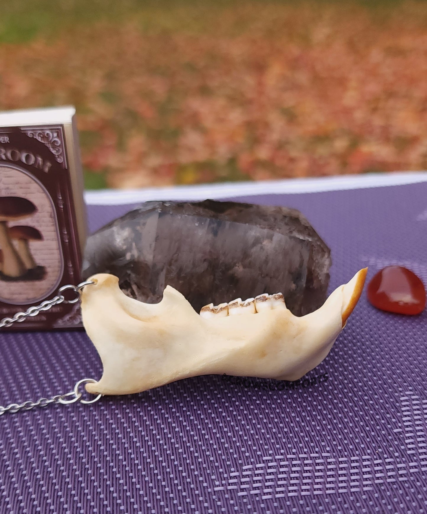 Porcupine Jaw Necklace