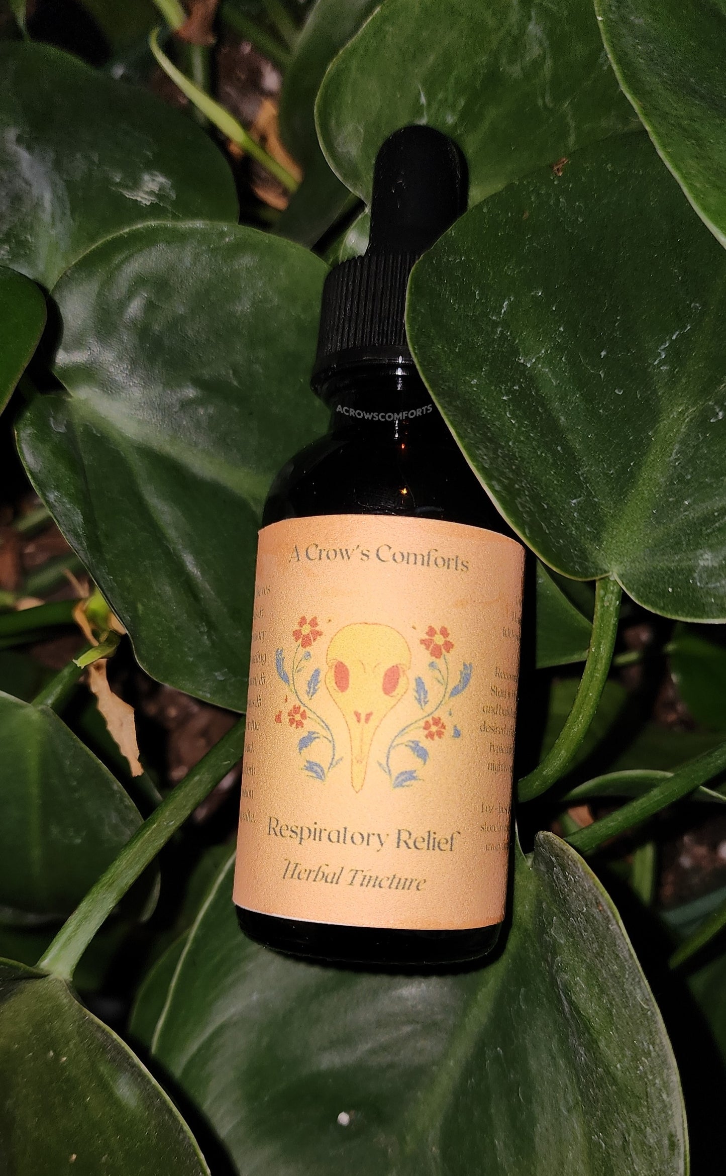 Horehound Herbal Tincture for Respiratory Relief