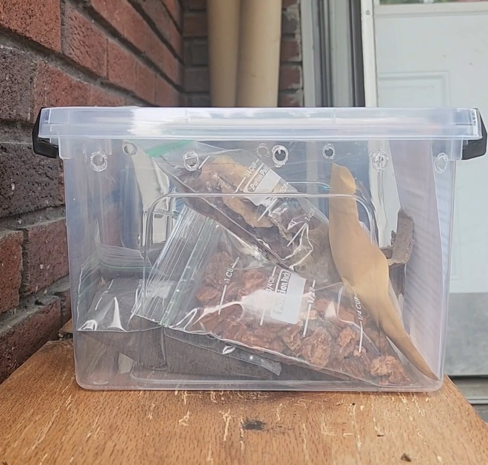 Isopod Set Up Kit