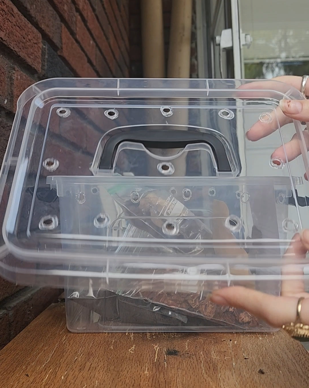 Isopod Set Up Kit