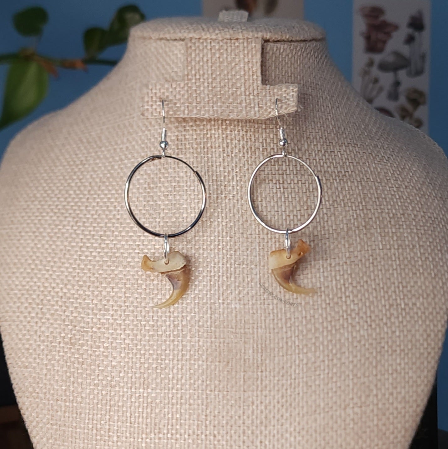 Bobcat Claw Hoop Earrings