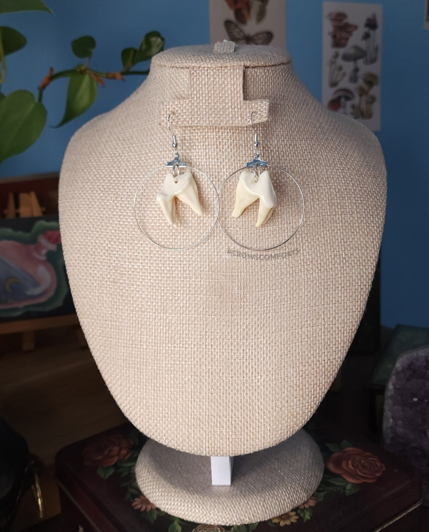 Coyote Tooth Hoop Earrings