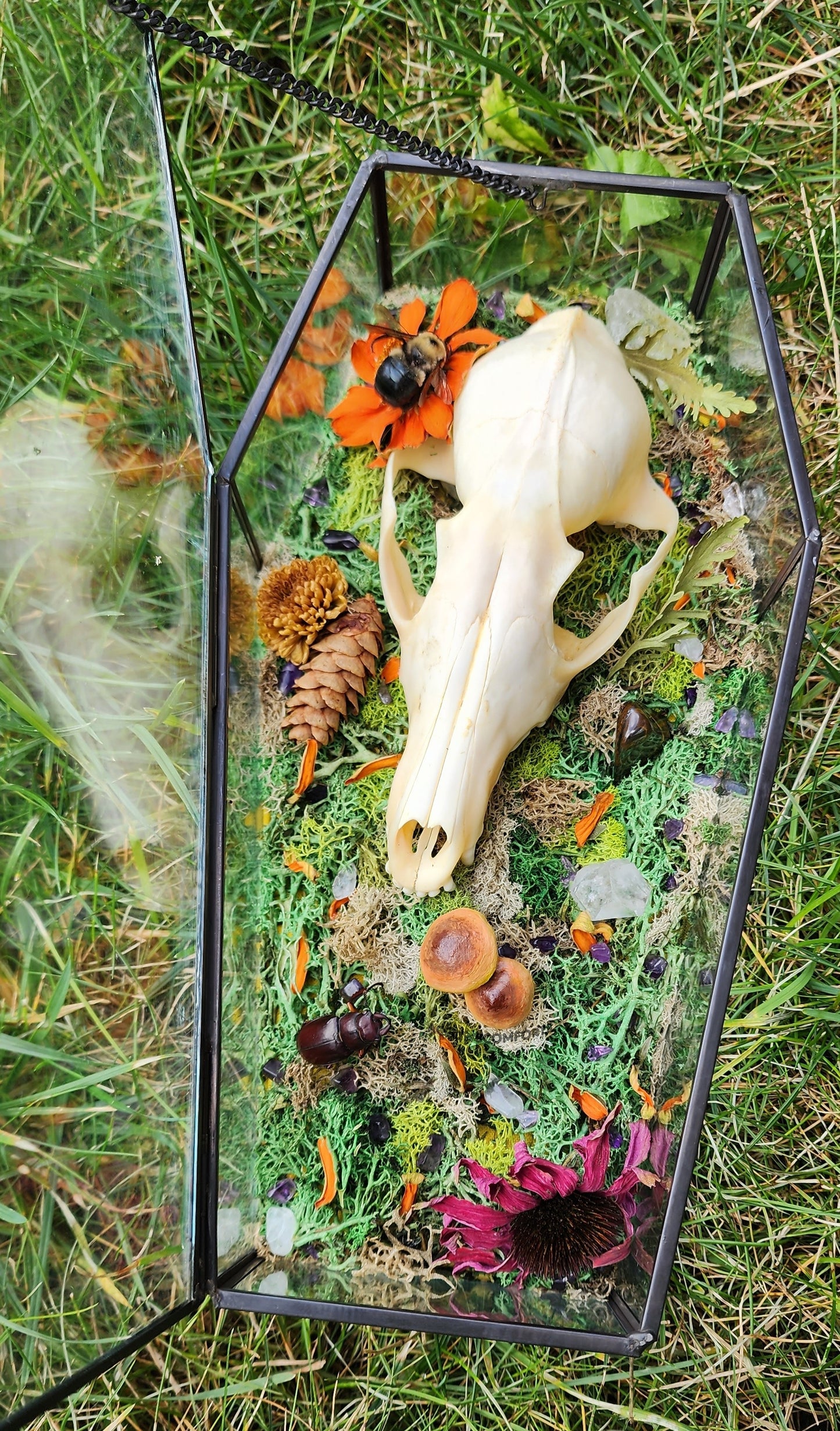 'In a Week' - A Coffin Shadowbox