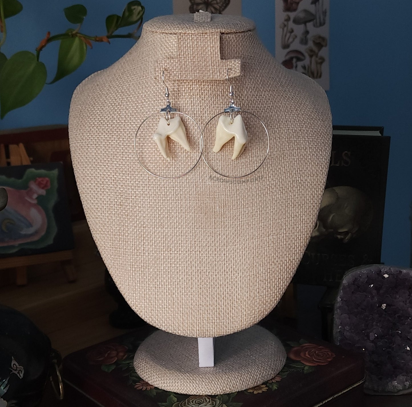 Coyote Tooth Hoop Earrings