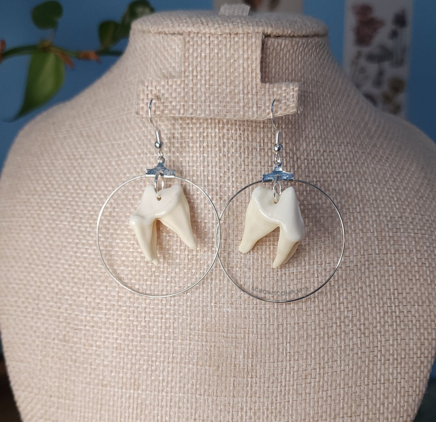 Coyote Tooth Hoop Earrings