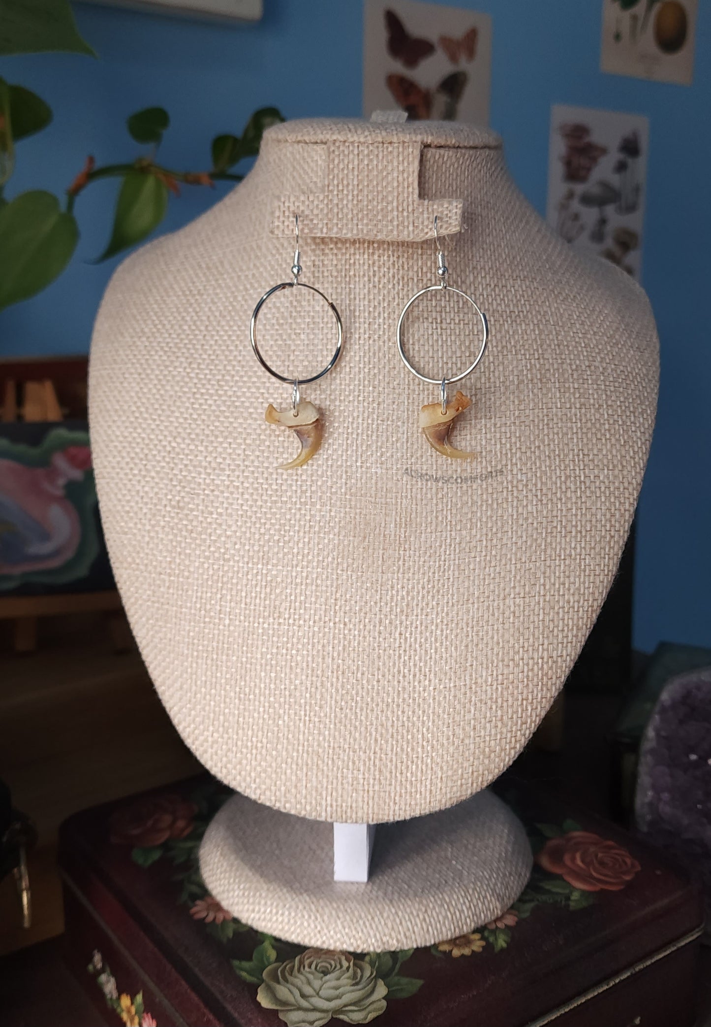 Bobcat Claw Hoop Earrings
