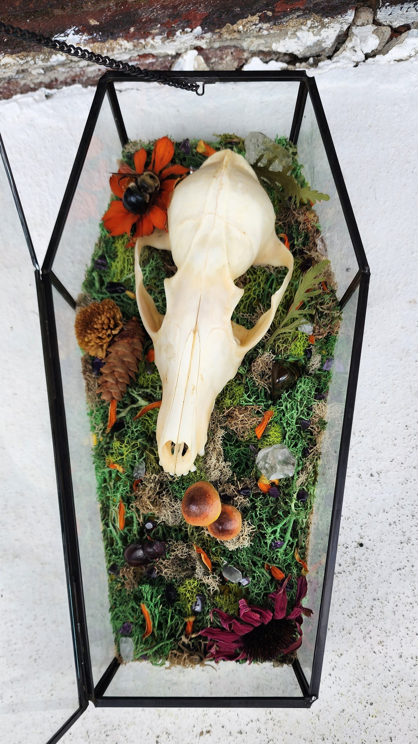 'In a Week' - A Coffin Shadowbox