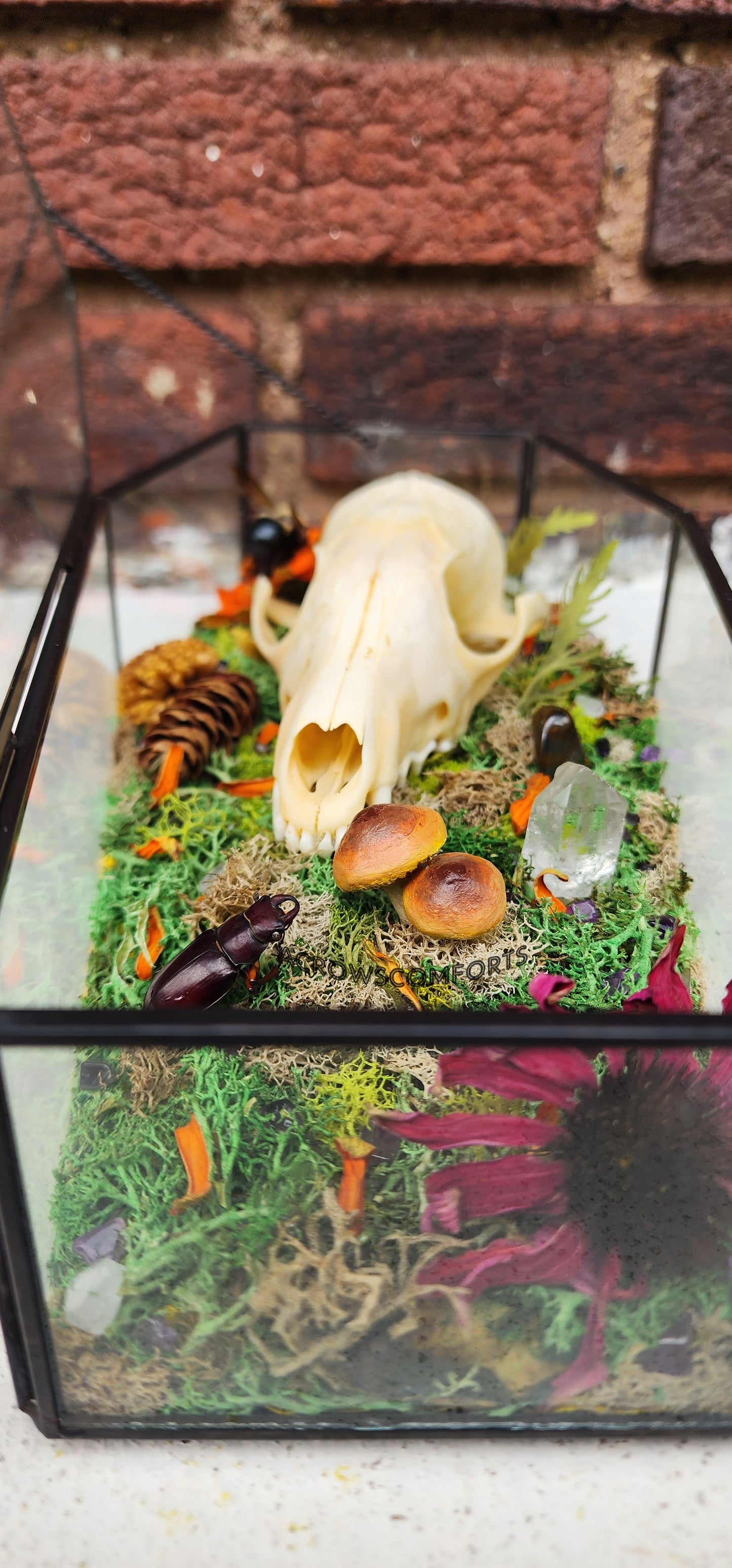 'In a Week' - A Coffin Shadowbox