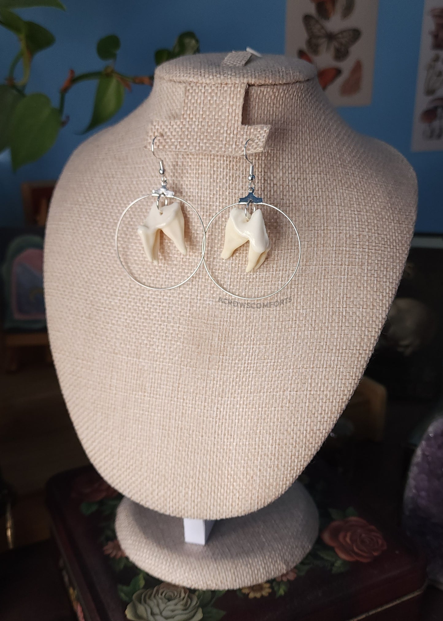 Coyote Tooth Hoop Earrings