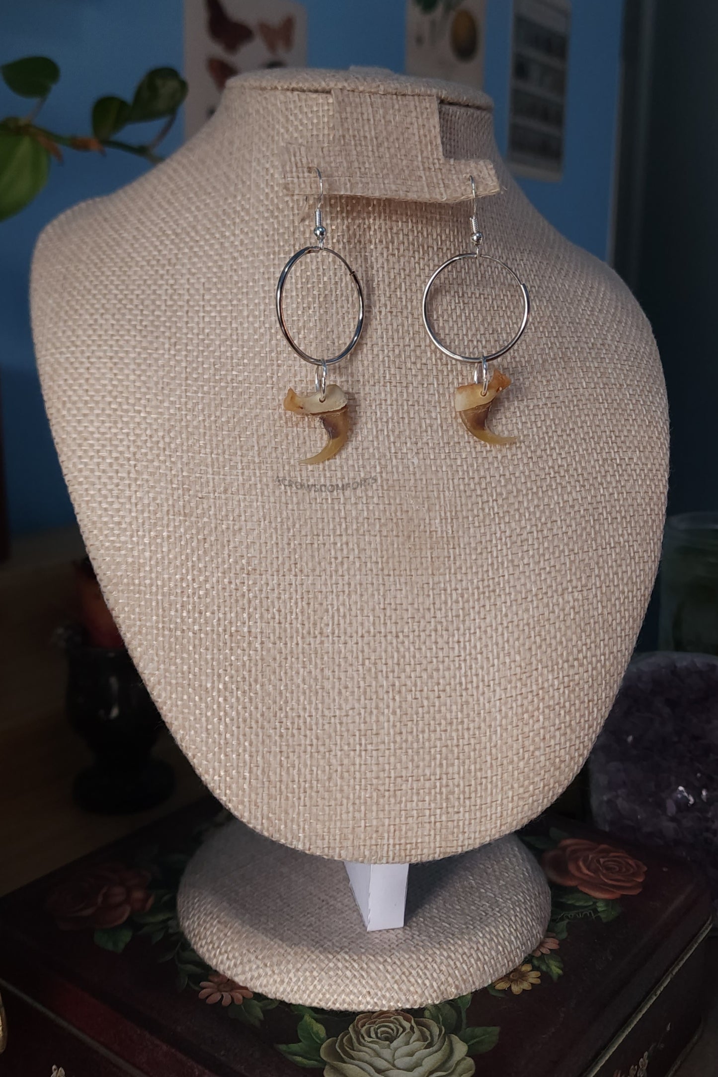 Bobcat Claw Hoop Earrings