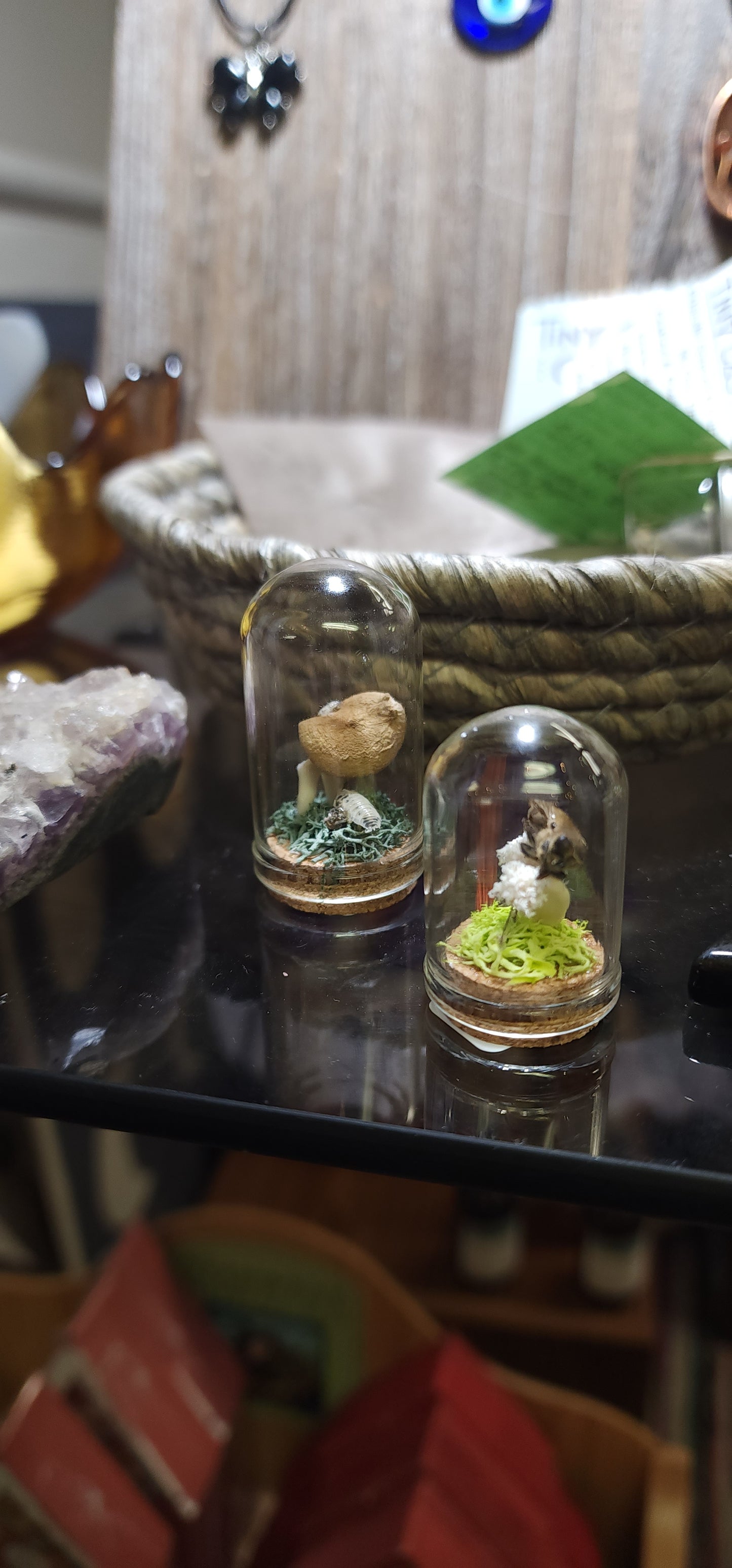 Mystery Mini Oddity Jars