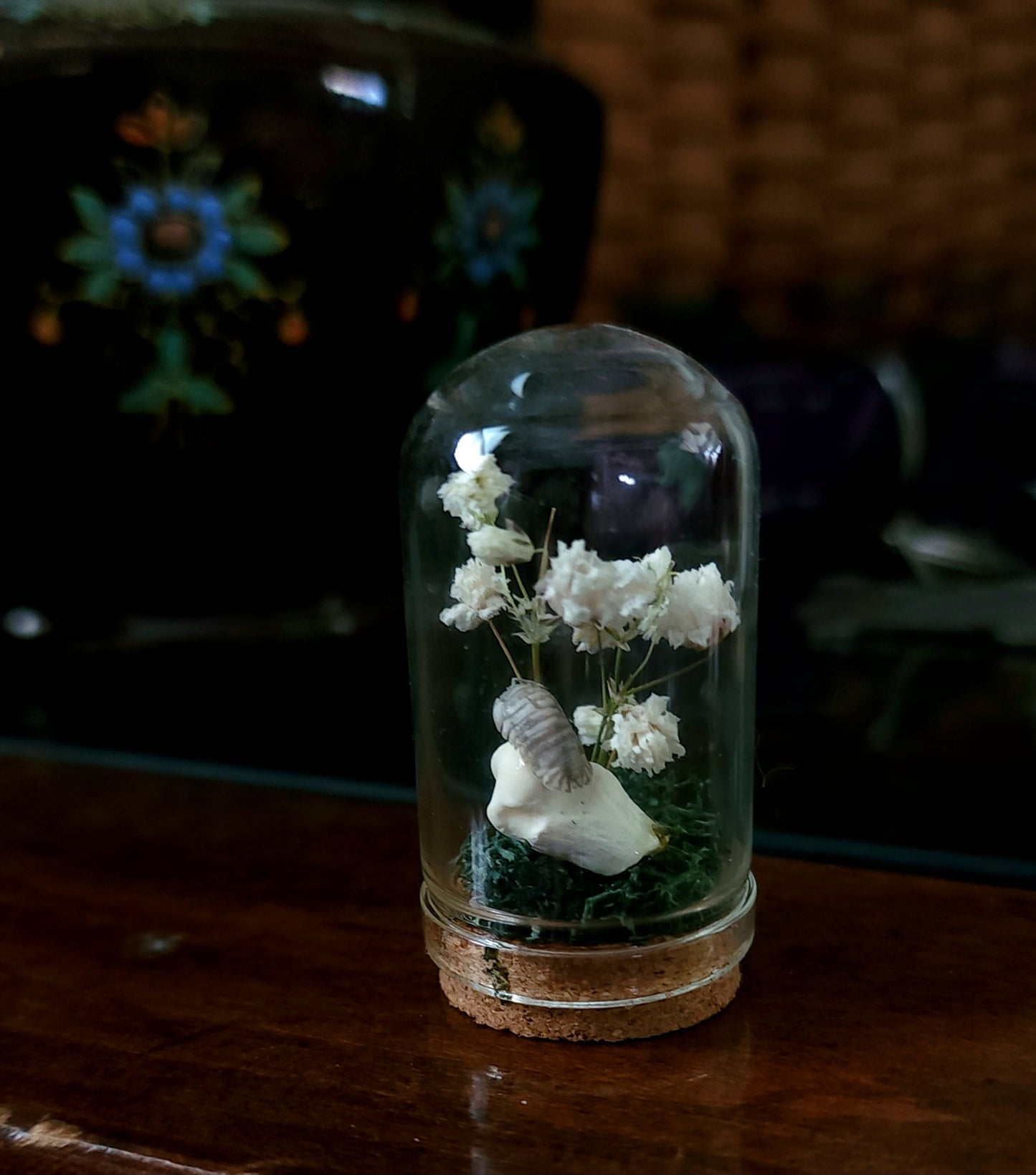 Mystery Mini Oddity Jars