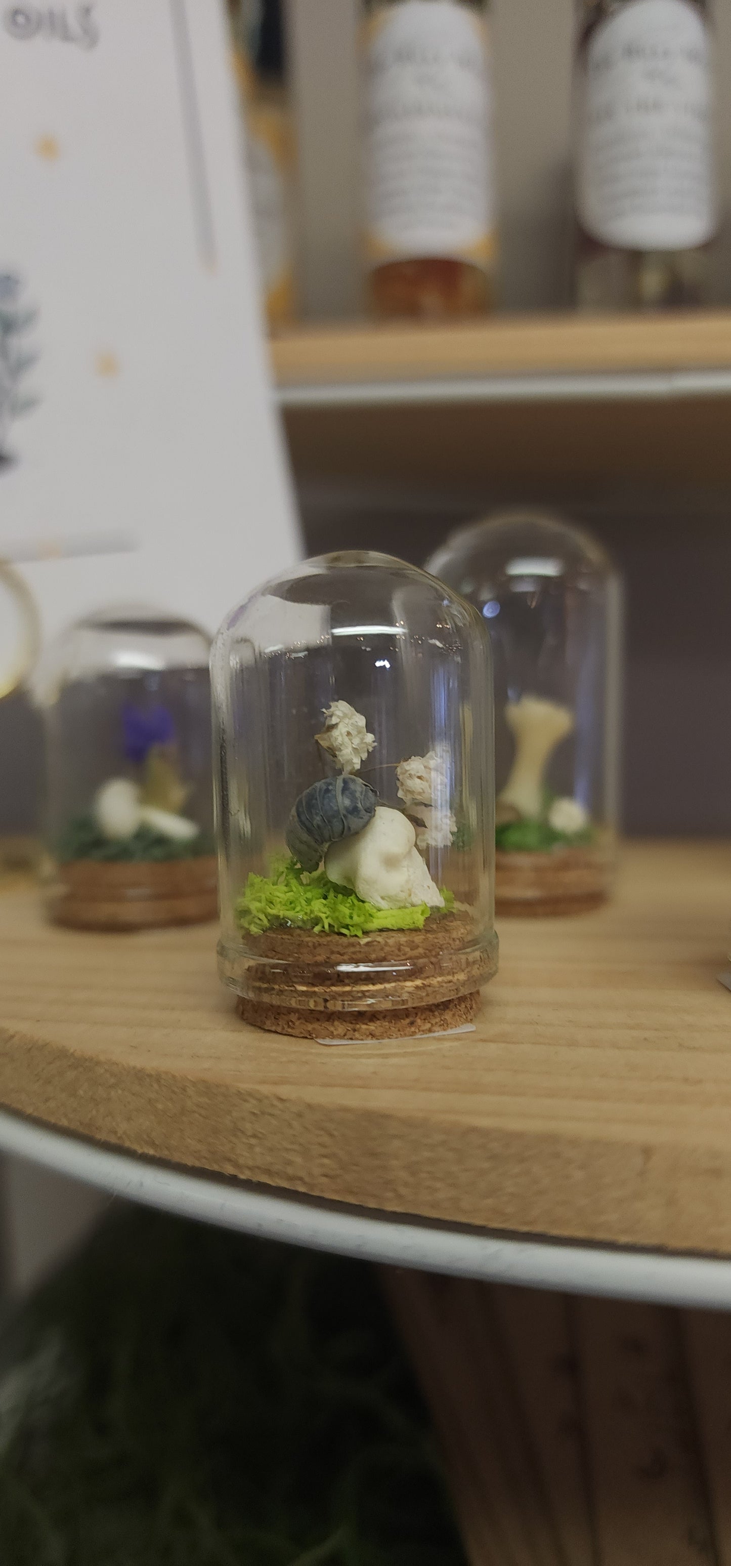 Mystery Mini Oddity Jars