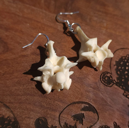 Blood Python Vertebrae Earrings