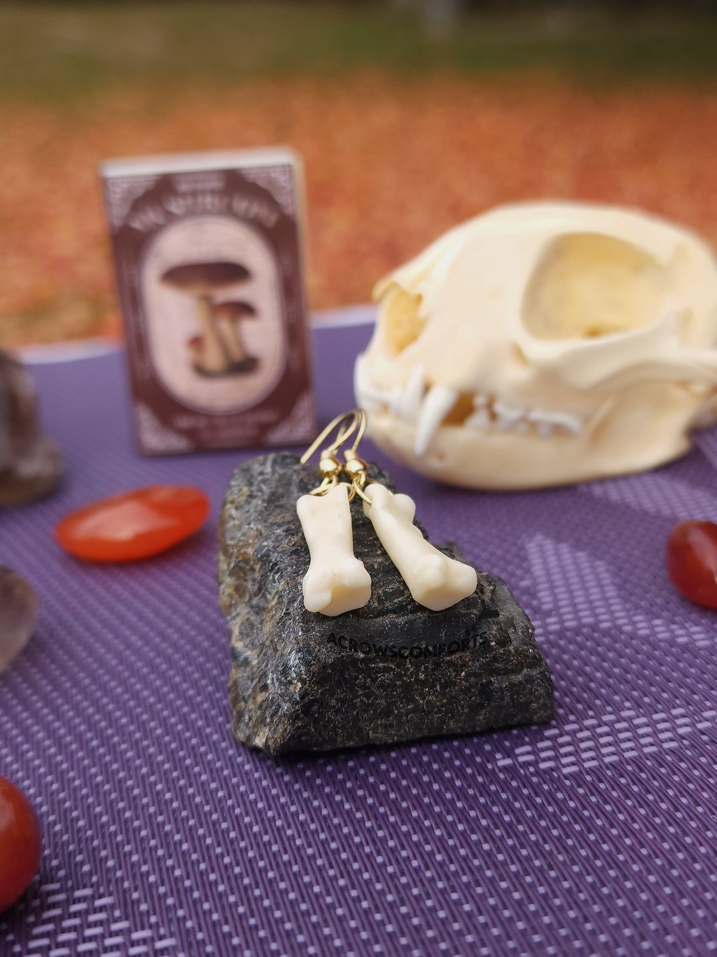 Coyote Toe Bone Earrings