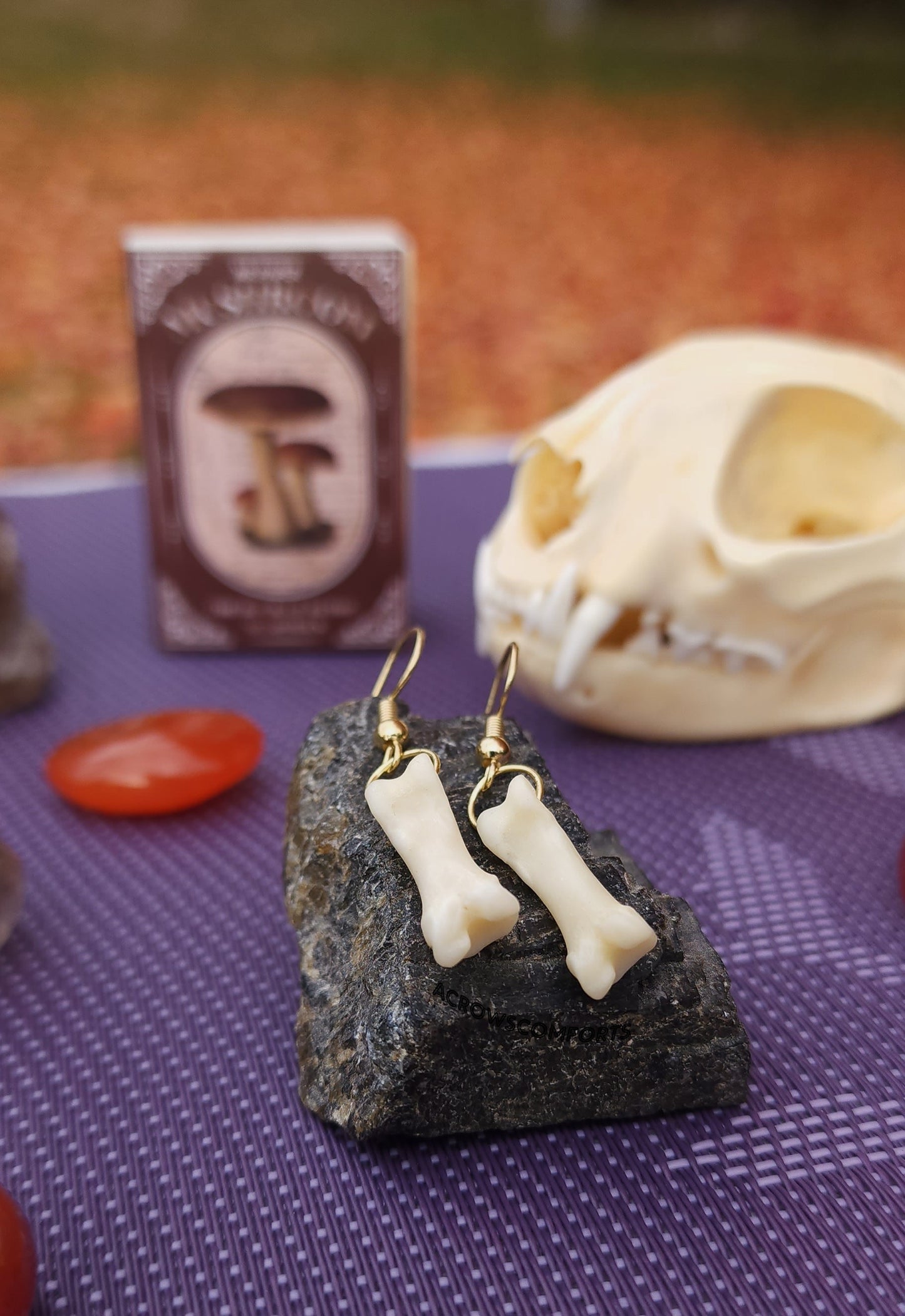 Coyote Toe Bone Earrings