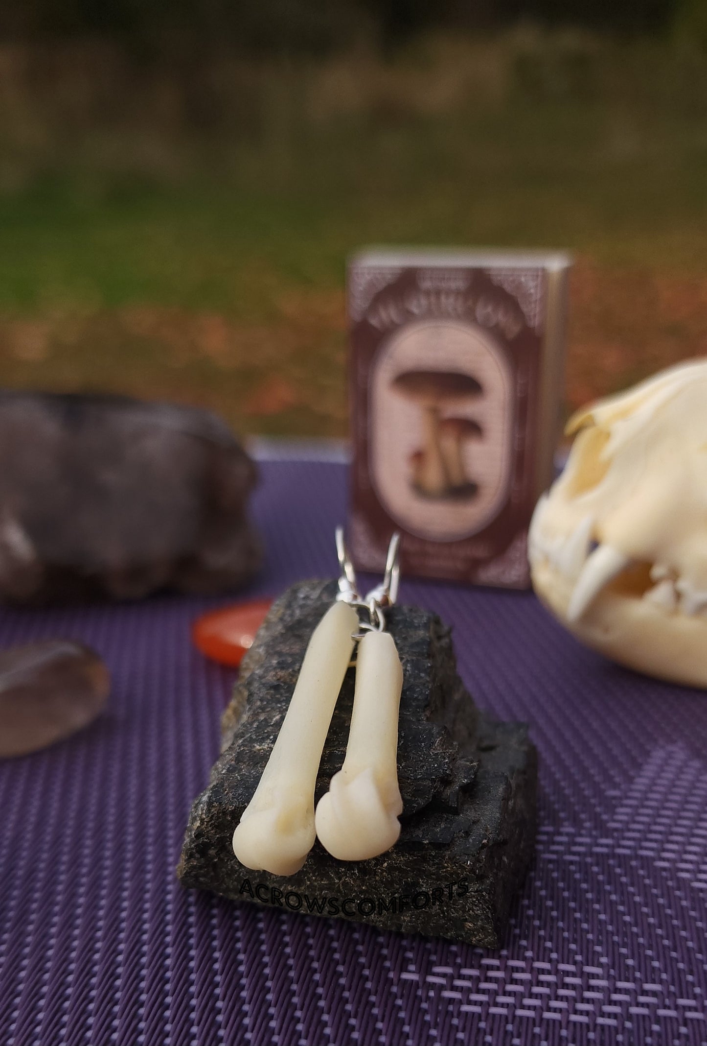 Cut Coyote Toe Bone Earrings