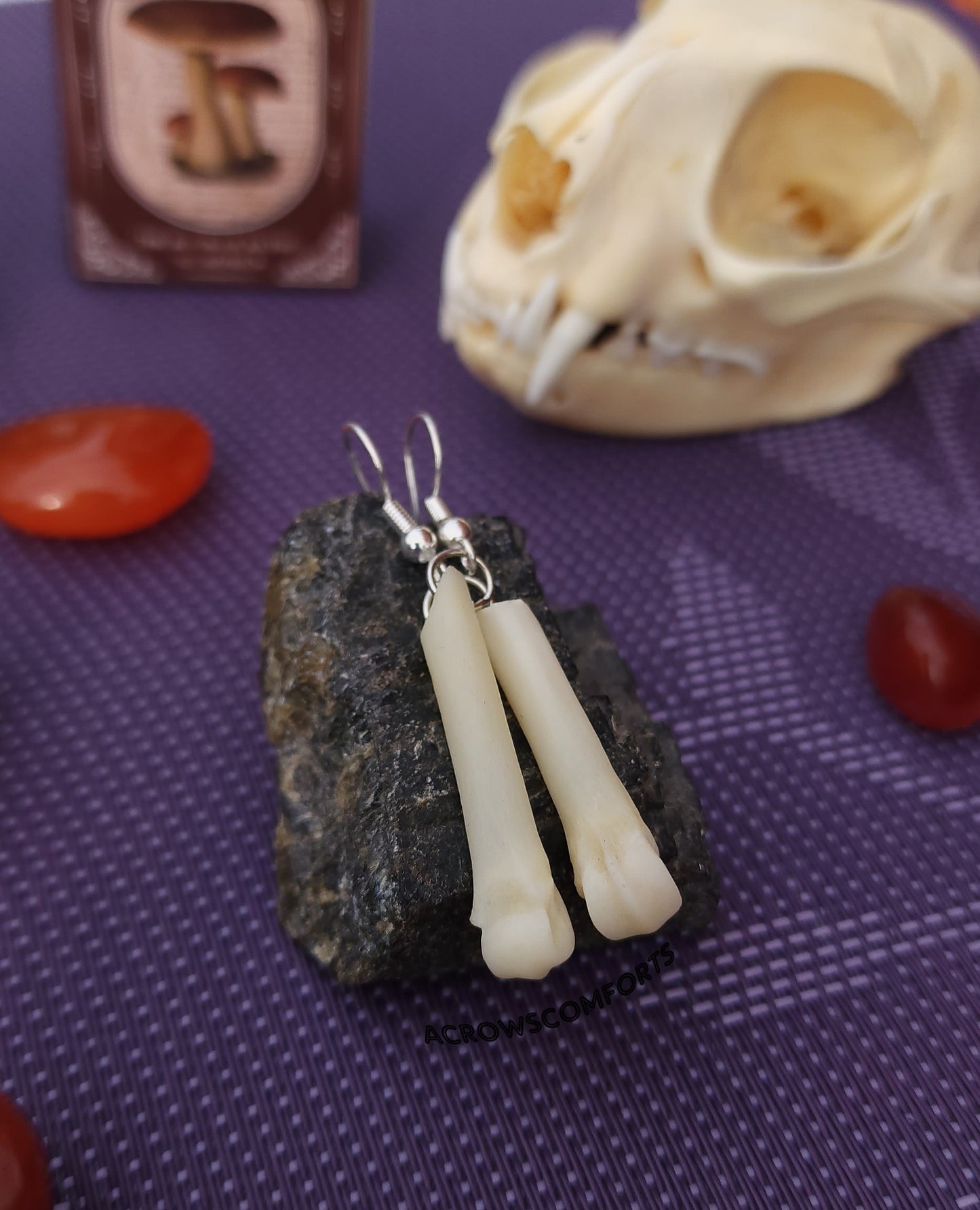 Cut Coyote Toe Bone Earrings