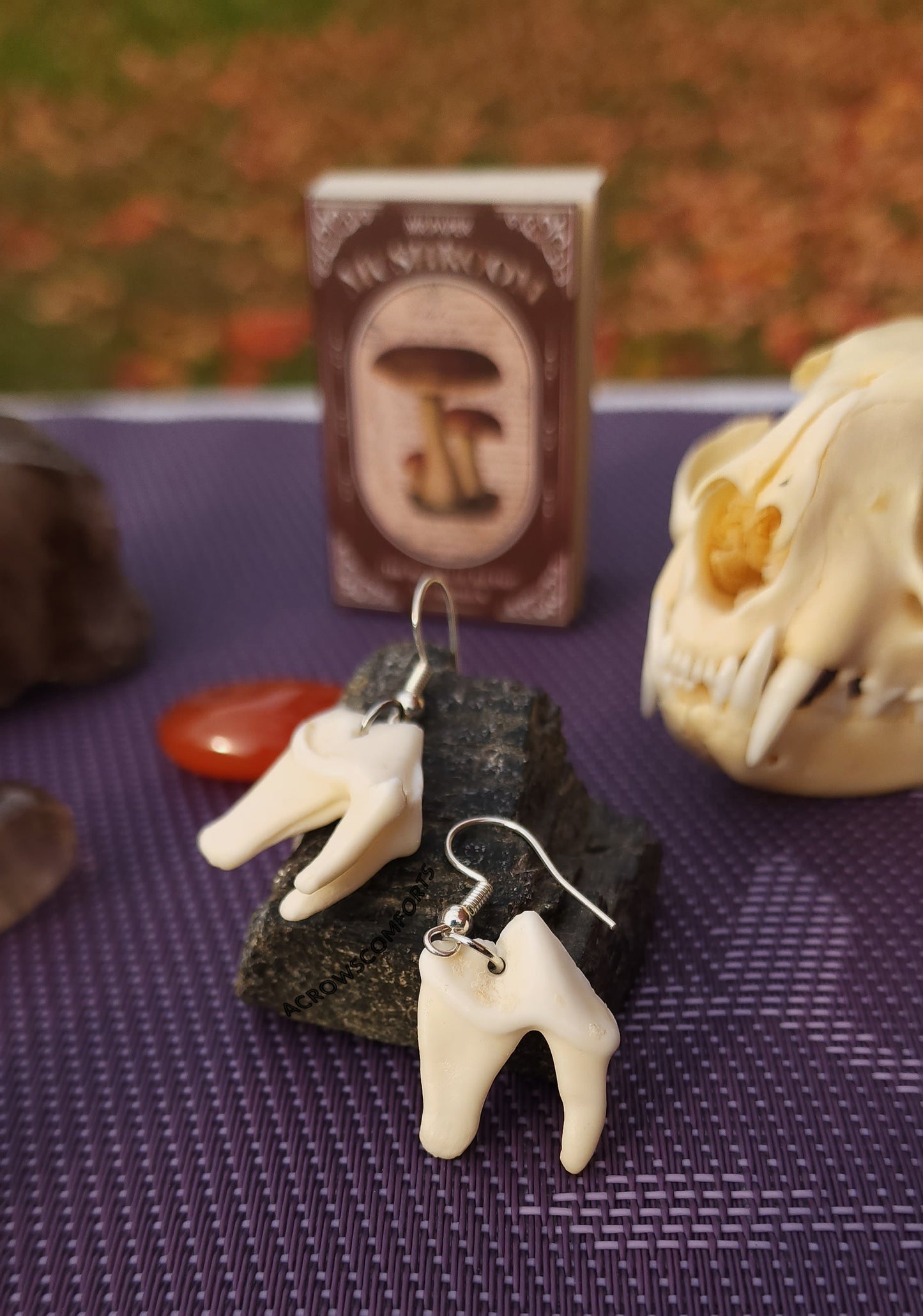 Coyote Molar Earrings