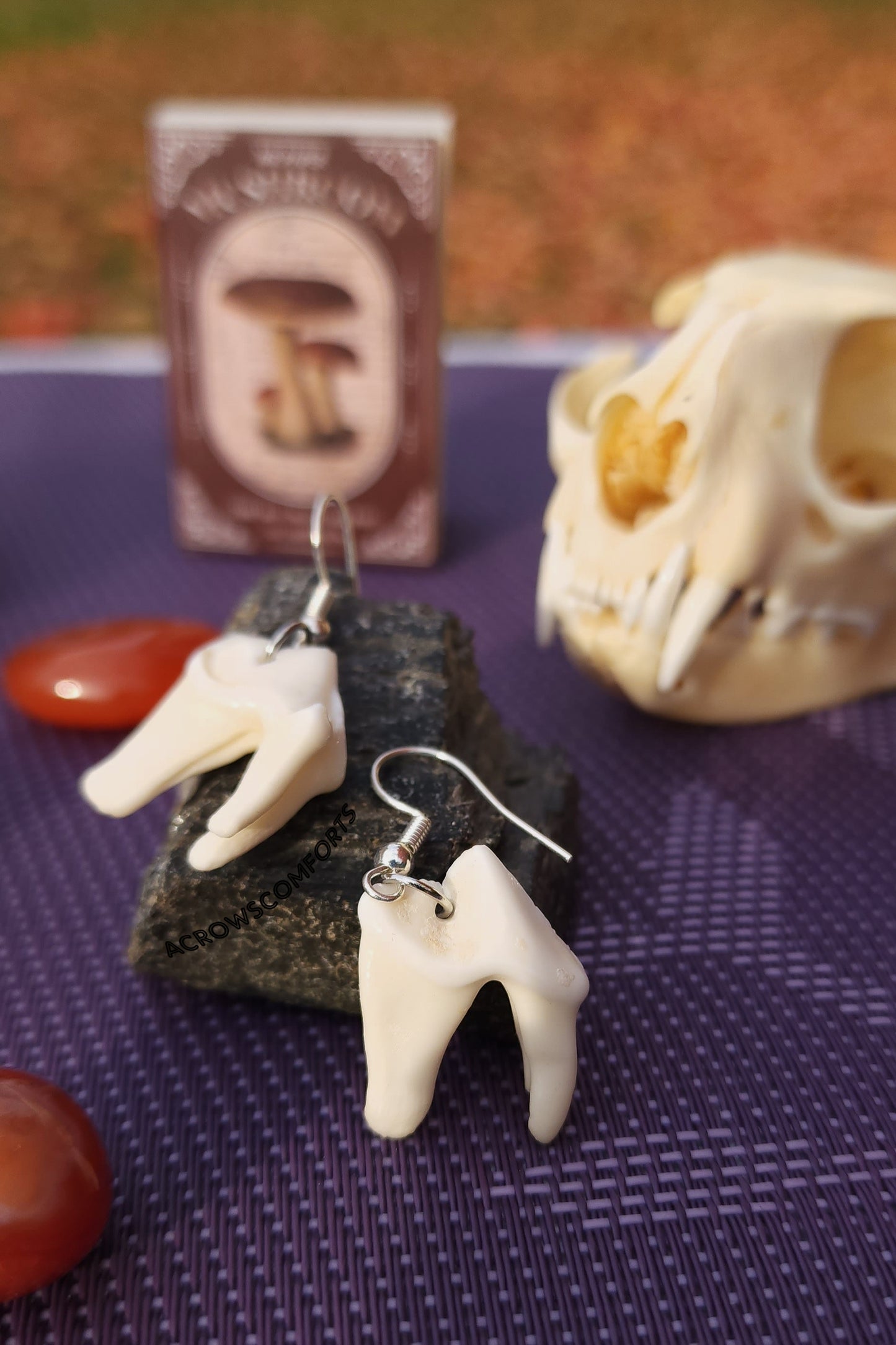 Coyote Molar Earrings