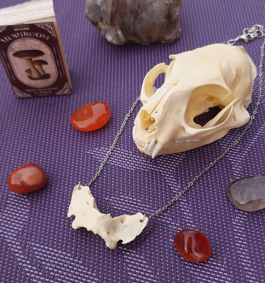 Coyote Atlas Necklace