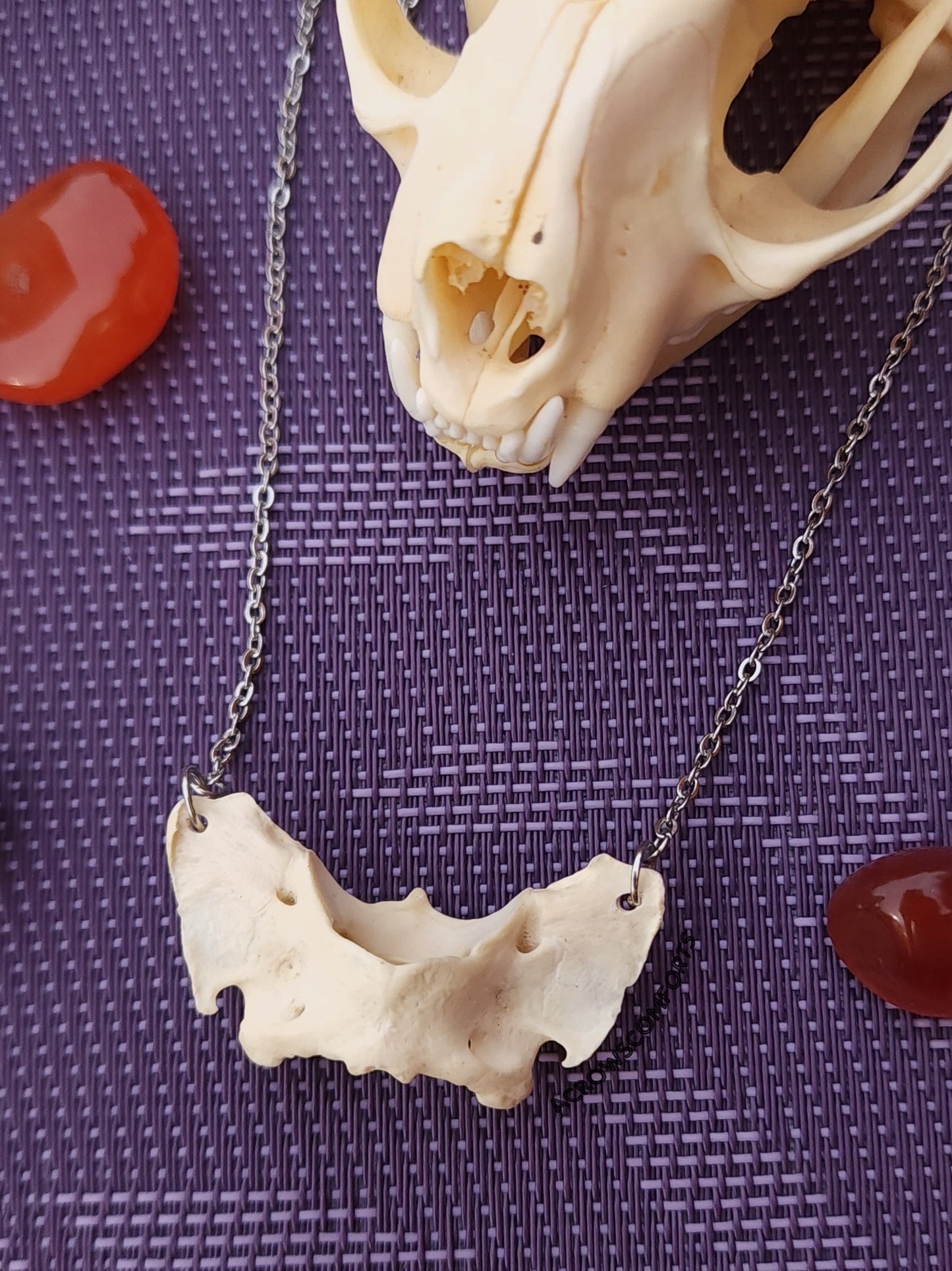 Coyote Atlas Necklace