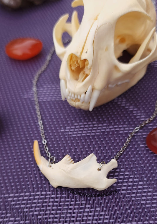 Muskrat Jaw Necklace