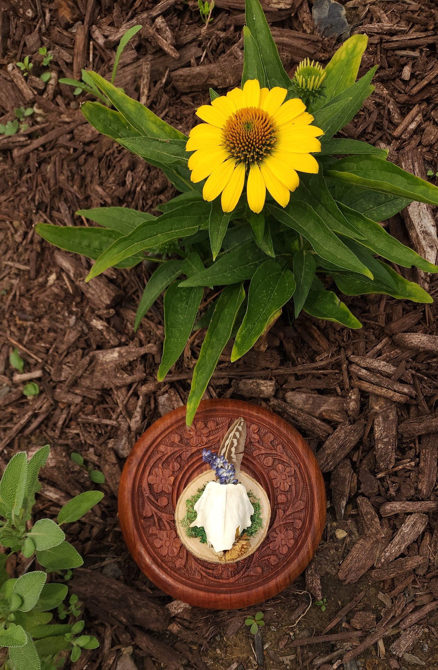 Skull Fragment Wall Hanging