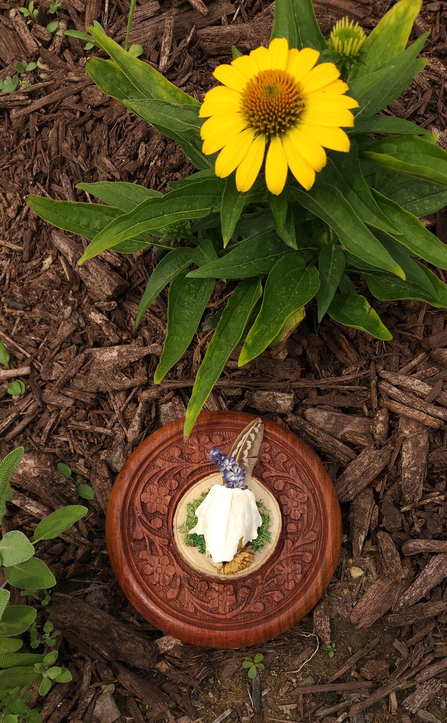 Skull Fragment Wall Hanging